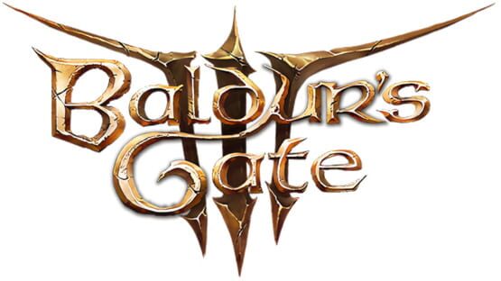 Baldur's Gate III sur PC