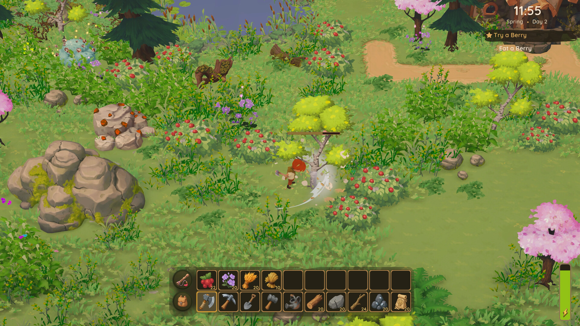 Wild Forest Studio - jeux PC