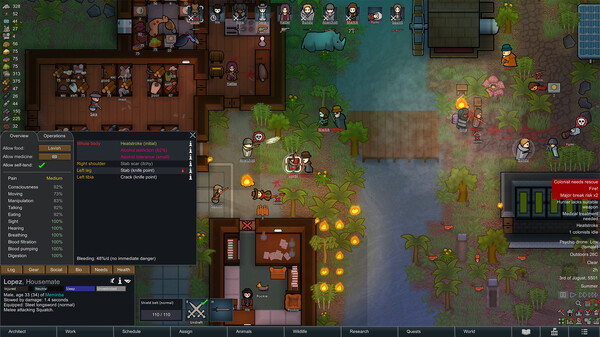 RimWorld - capture d'écran 1 (gameplay PC)