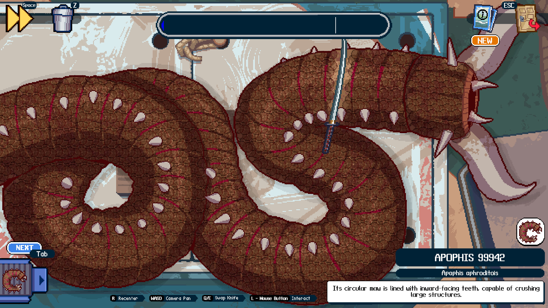 Glass Gecko Games - jeux PC