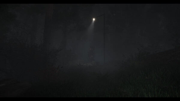 The Disappearance of Emily Crowe - capture d'écran 2 (gameplay PC)