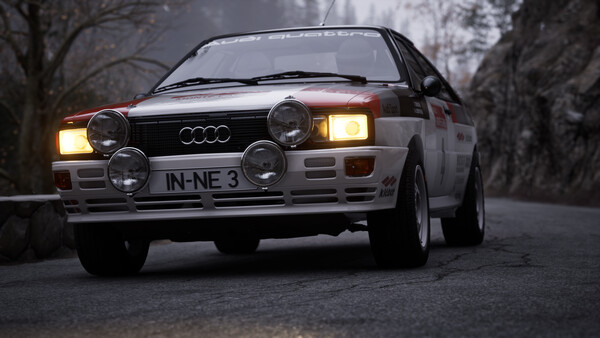 Assetto Corsa Rally - capture d'écran 3 (gameplay PC)