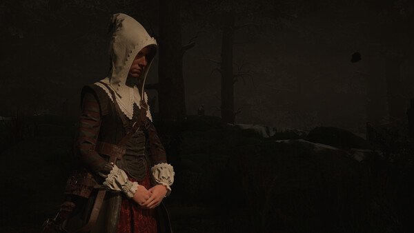 1666: Amsterdam - capture d'écran 2 (gameplay PC)