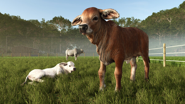 Farming Simulator 25: Beans & Alpacas Expansion - capture d'écran 6 (gameplay PC)
