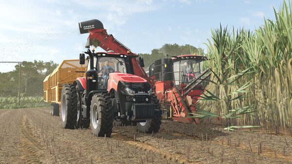 Farming Simulator 25: Beans & Alpacas Expansion - capture d'écran 1 (gameplay PC)