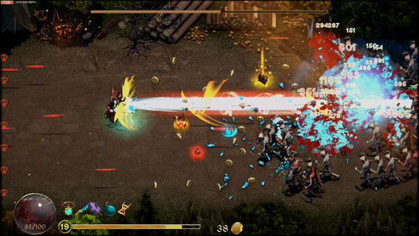 For The Cat! Sorcerer's Revenge - capture d'écran 1 (gameplay PC)