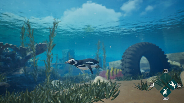 My Penguin Friend - capture d'écran 1 (gameplay PC)